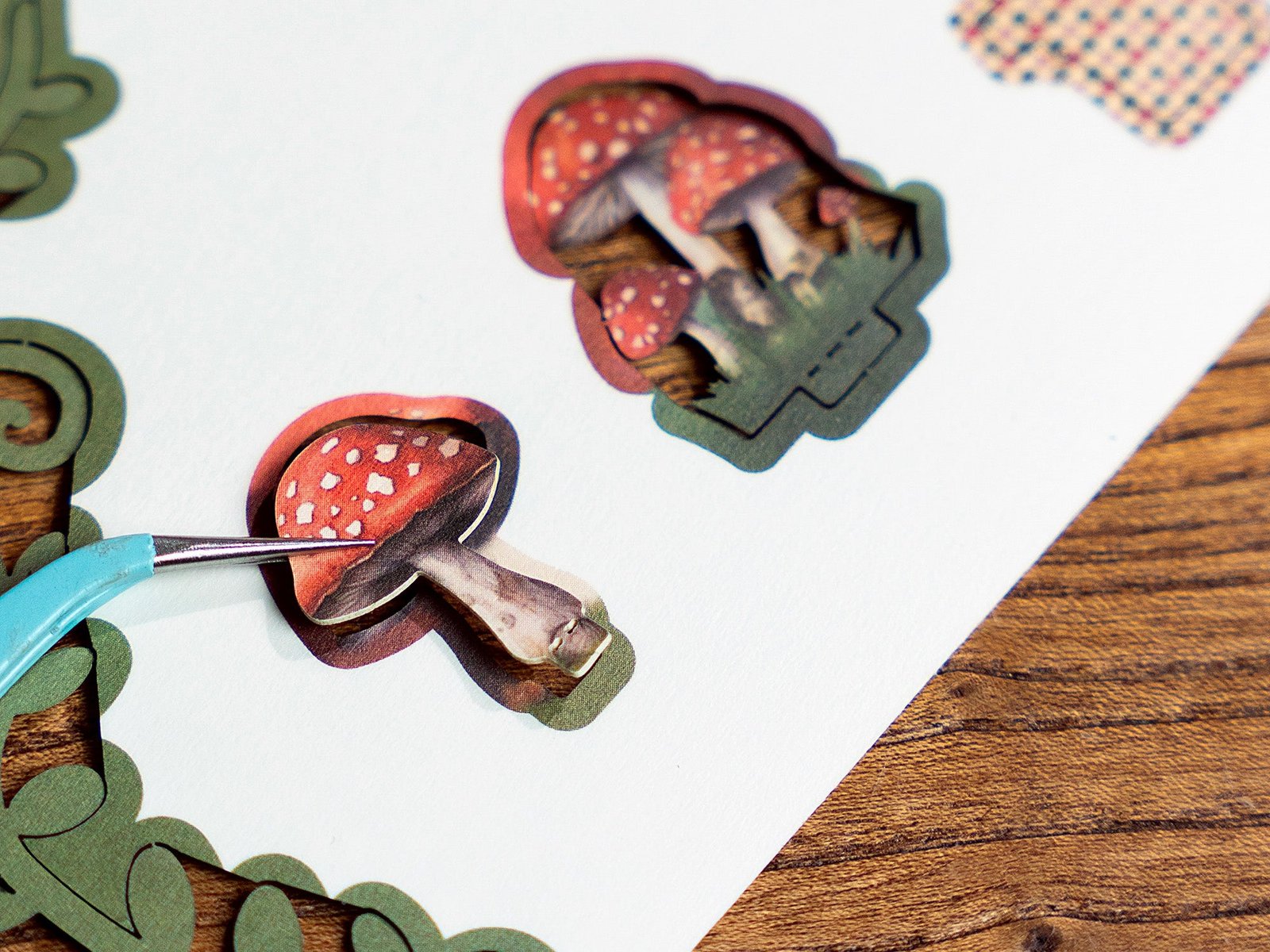 Fall into Wonder - Image 9