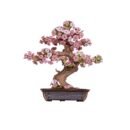 Sakura Bonsai 3D Wooden Puzzle