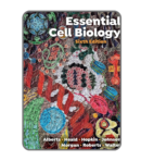 Essential Cell Biology 6th Edition Book Cover